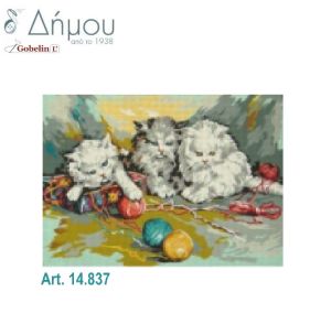Καμβάς σταμπωτός 60 x 45 cm