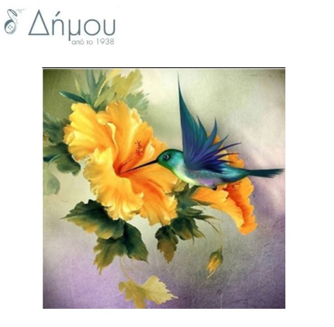 Diamond Art N51579C