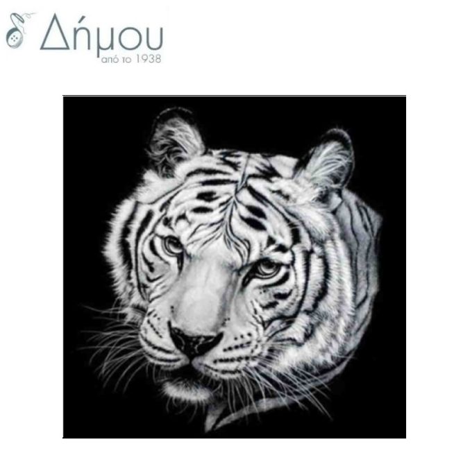 Diamond Art N10440C
