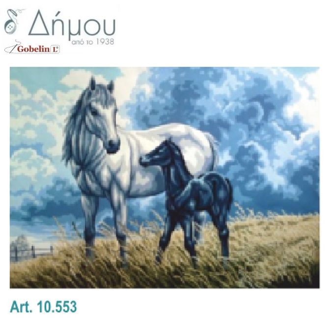 Καμβάς σταμπωτός 60 x 80 cm