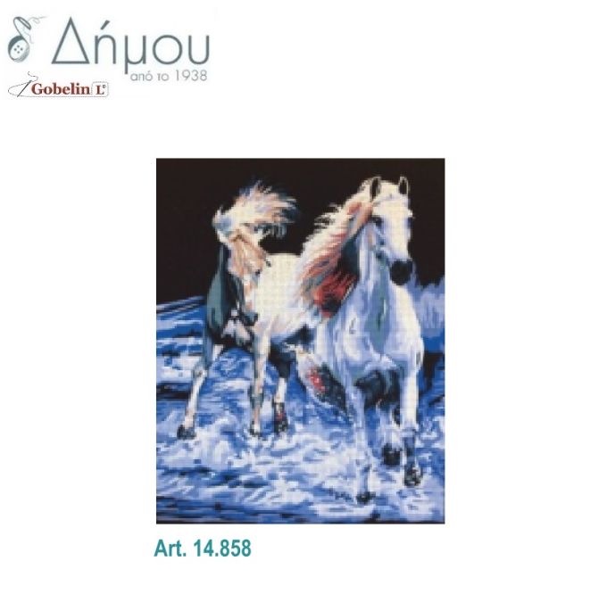 Καμβάς σταμπωτός 60 x 50 cm