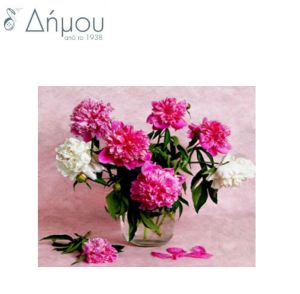 Diamond Art N52094C